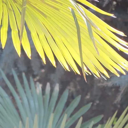 Historic Morosini * 벨라지오