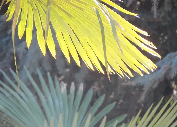 Historic Morosini * Bellagio