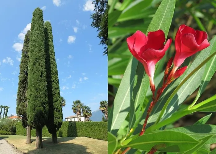 Apartmán Historic Morosini Bellagio