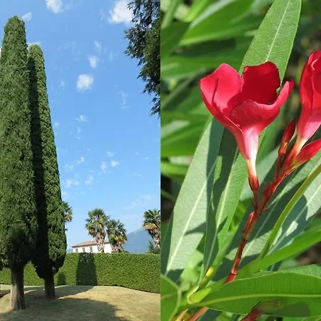 Διαμέρισμα Historic Morosini Μπελάτζιο